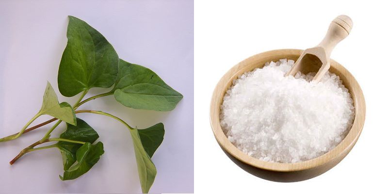chua-mun-trung-ca-bang-rau-diep-ca