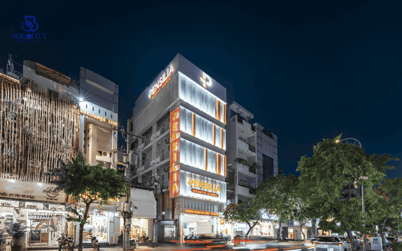 Pensilia Nguyễn Đình Chiểu (1)